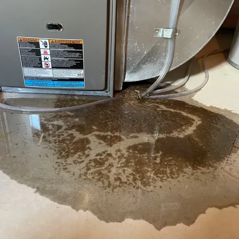 Appliance Leak Cleanup in Russellville, AL